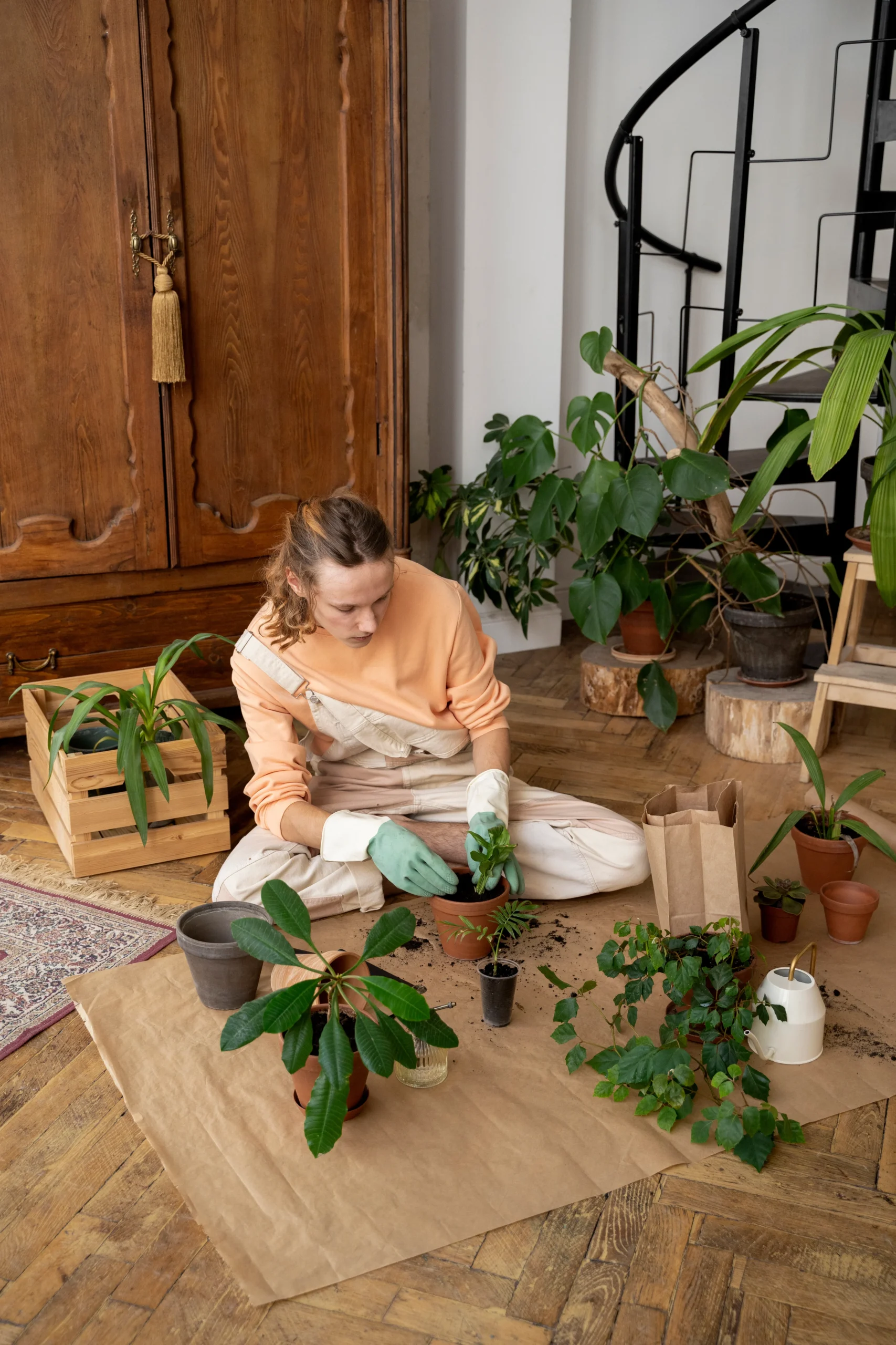 Person transplanting plants into new pots as part of mindful and eco-friendly home rituals